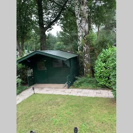 Ruim Chalet: Veluwe Retreat With Private Garden *